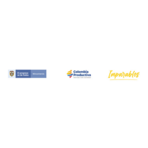 Programa Imparables Logo Cuadrado